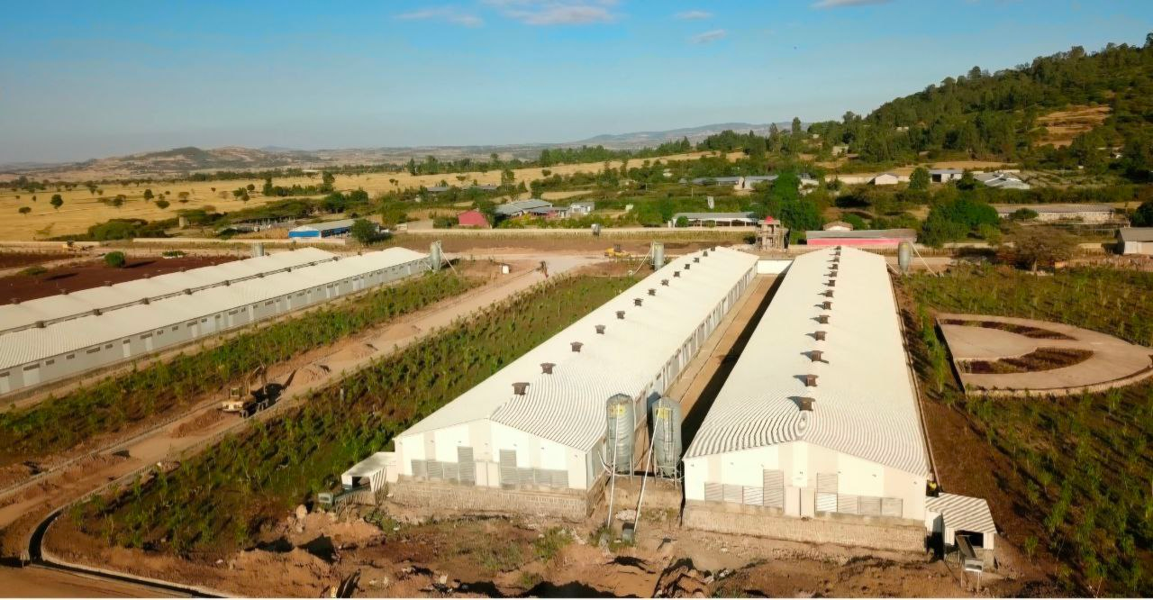 single page feature image