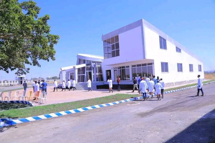 Technical Services and Training