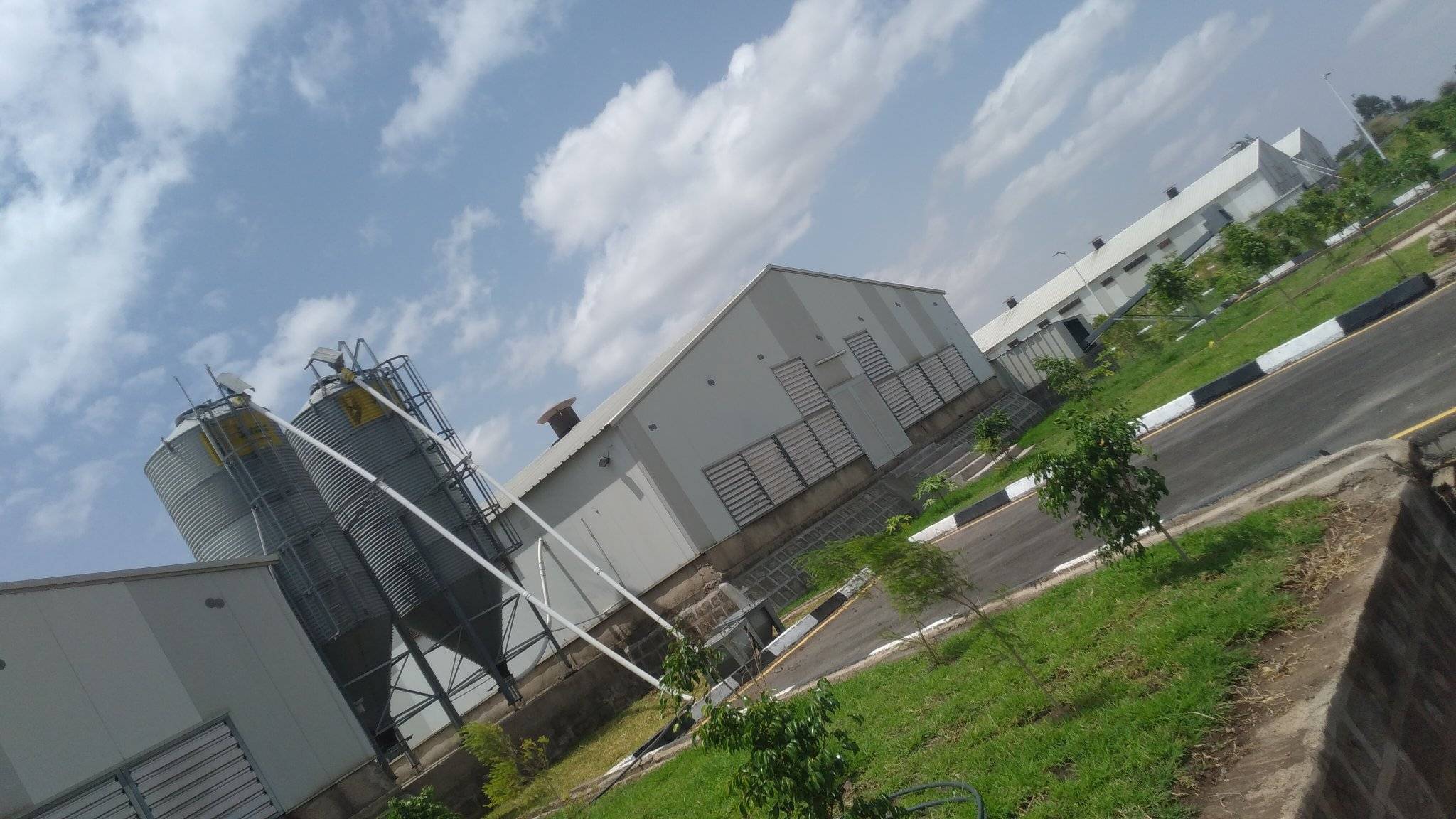 single page feature image